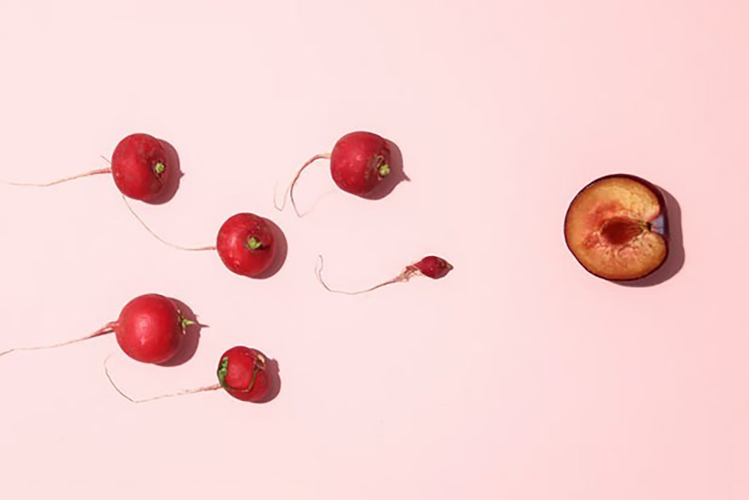 illustration for feature article 1